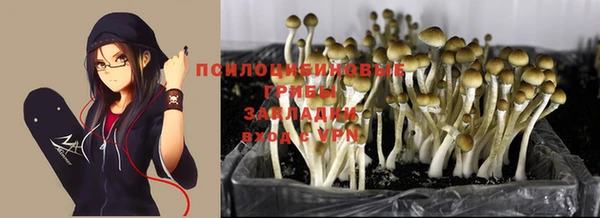 мдма Коряжма