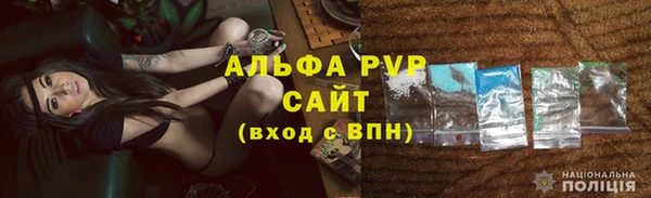 ешки Корсаков