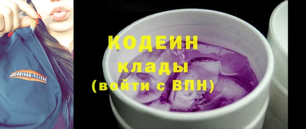 ешки Корсаков