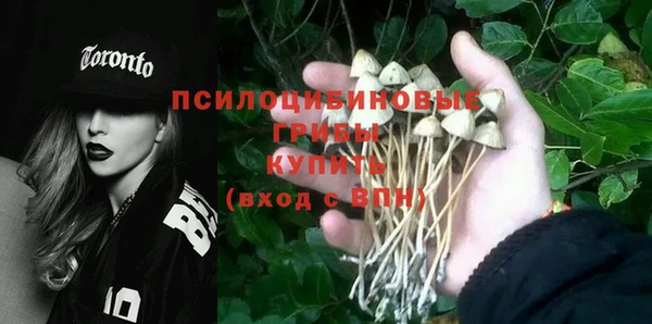 ешки Корсаков