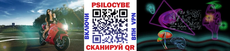 как найти наркотики  Архангельск  Псилоцибиновые грибы мицелий 